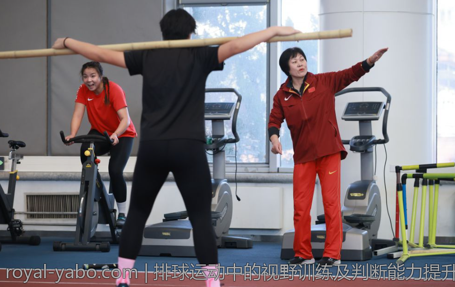 排球运动中的视野训练及判断能力提升