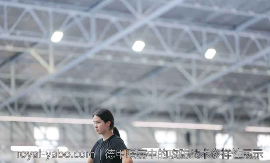 德甲联赛中的攻防战术多样性展示