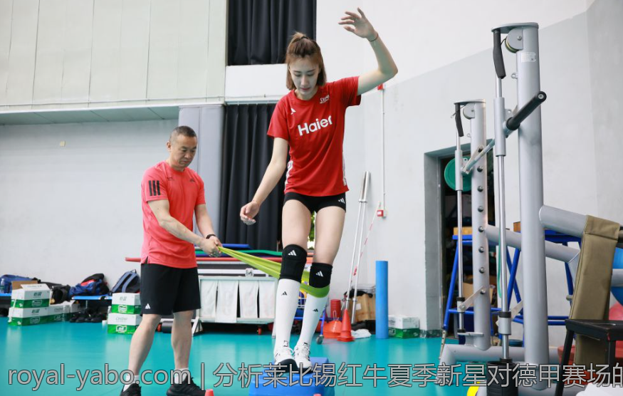 分析莱比锡红牛夏季新星对德甲赛场的影响