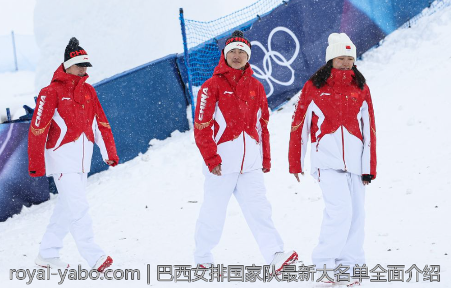 巴西女排国家队最新大名单全面介绍