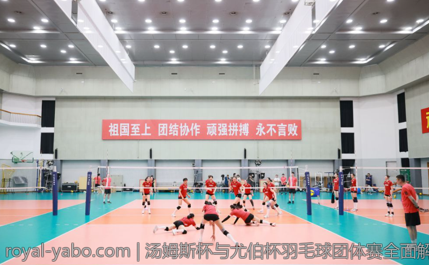 汤姆斯杯与尤伯杯羽毛球团体赛全面解析