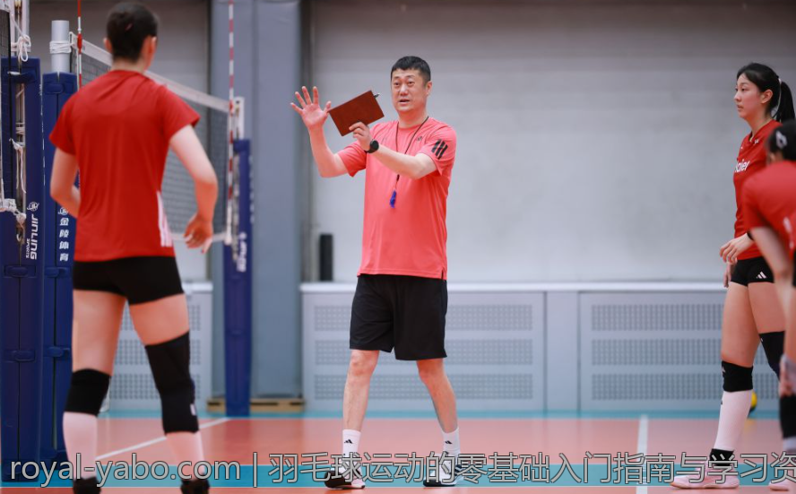 羽毛球运动的零基础入门指南与学习资源