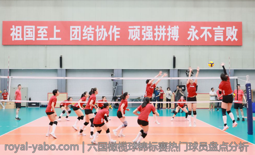 六国橄榄球锦标赛热门球员盘点分析